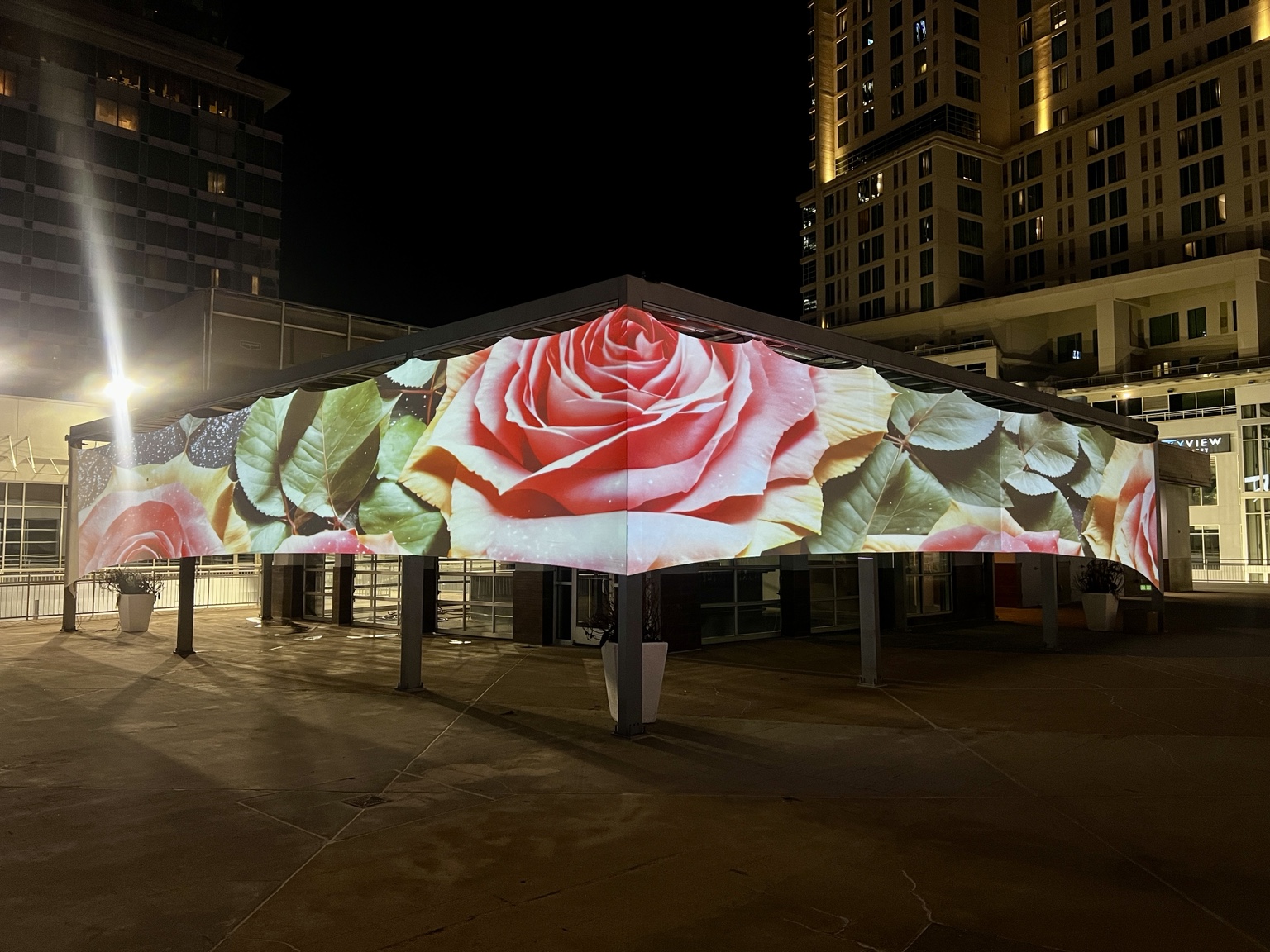 Rose visuals across an outdoor building