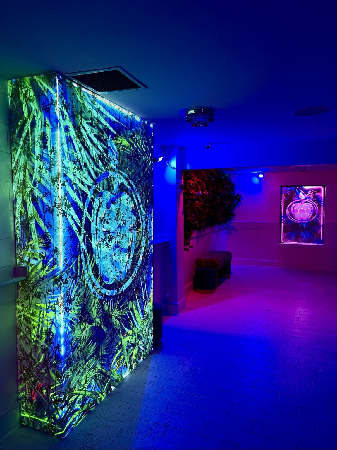 An immersive interior treatment